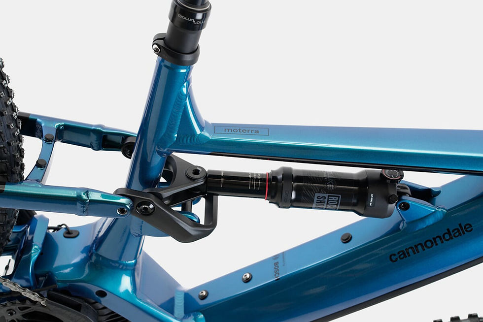 Miniatura: CANNONDALE Moterra Neo 3