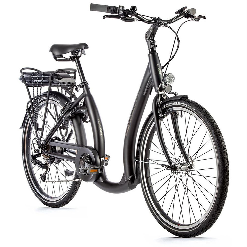 Leader Fox Holand Electric City Bike