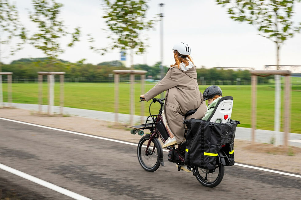 Miniatura: Tern Quick Haul P9 Performance Electric Cargo Bike