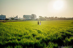 Flickr - Vivian+Su (267)