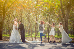 【Wedding】月琴+明晃婚禮精選