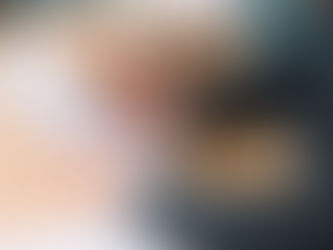 Receiving the Exemption Dossier of Imposing Anti-Dumping Measure in AD07 Case