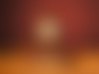 Legal consequences of the trademark with origin in Vietnam