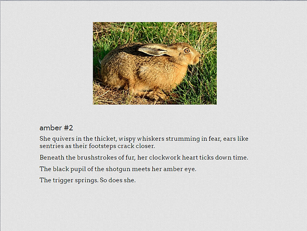 #amber #2.png