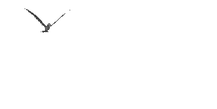 8iAbG5x5T.gif