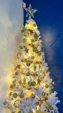 Christmas Tree Revamp