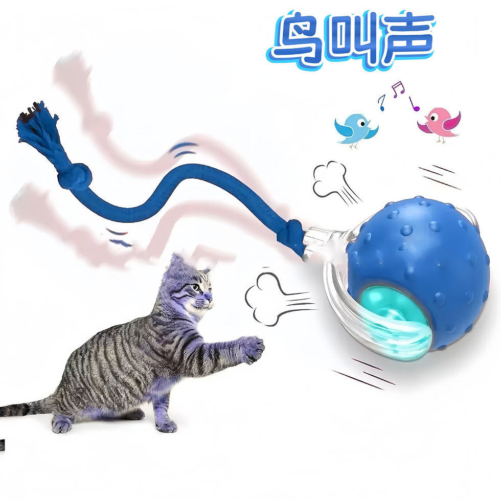 תמונה ממוזערת: כדור טיזר לחתולים חוצה גבולות, צעצוע לחיות מ