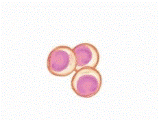 omega3.gif