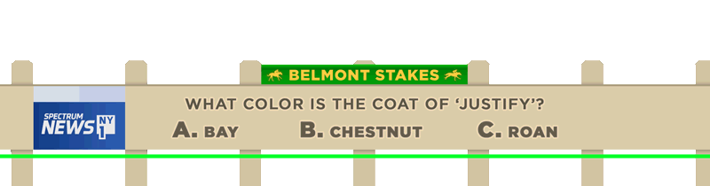 Belmont_Stakes_L3rd_053018_FS-7.gif