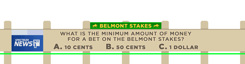 Belmont_Stakes_L3rd_053018_FS-6.gif