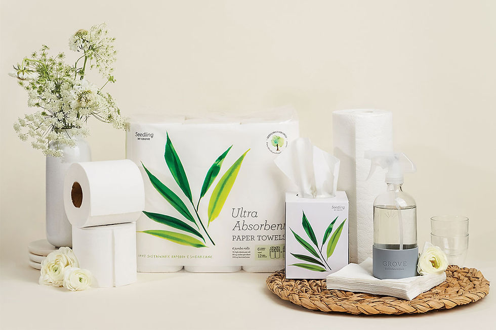 Tree-Free Paper Products