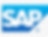 SAP log.jpeg