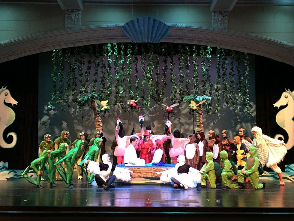 18156036_1432027930188571_2800694804186423980_o