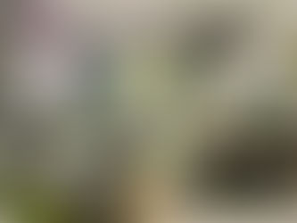 Разговор о важном!!!