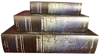 Blue and Gray Faux Books