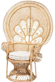Brown Peacock Chair