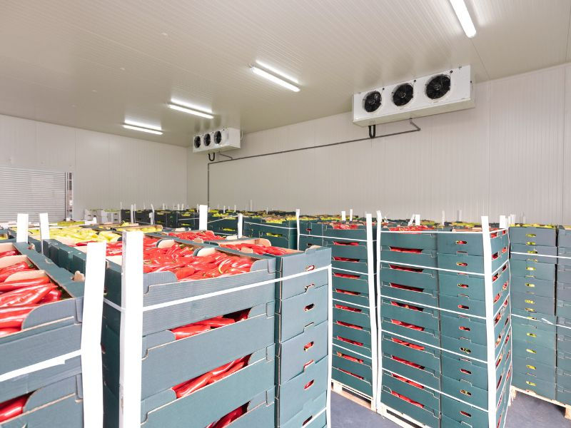 Cold Storage