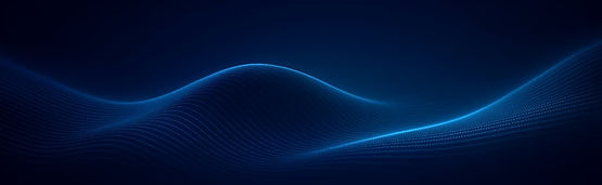 "Futuristic digital wave background used in Branch Systems header design"