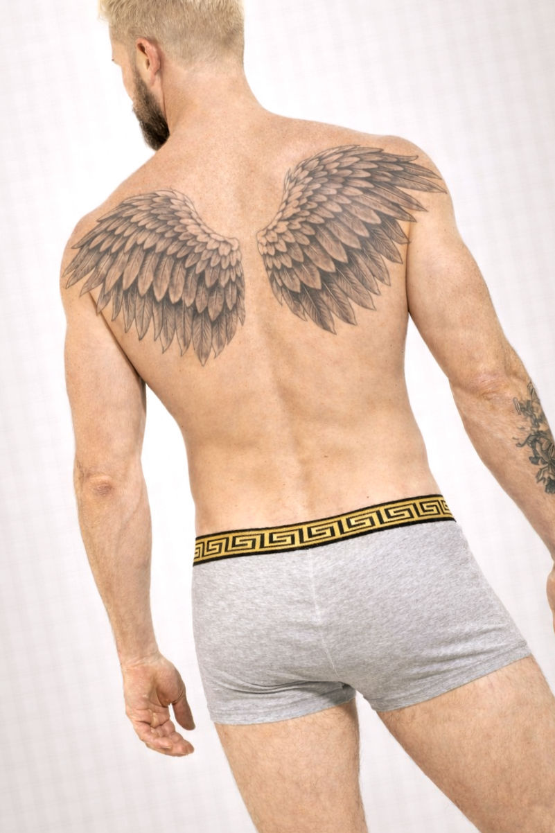 Miniaturbild: Grey Clasico Boxers