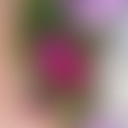 レッスン時間空き状況【2026年4月】更新♪