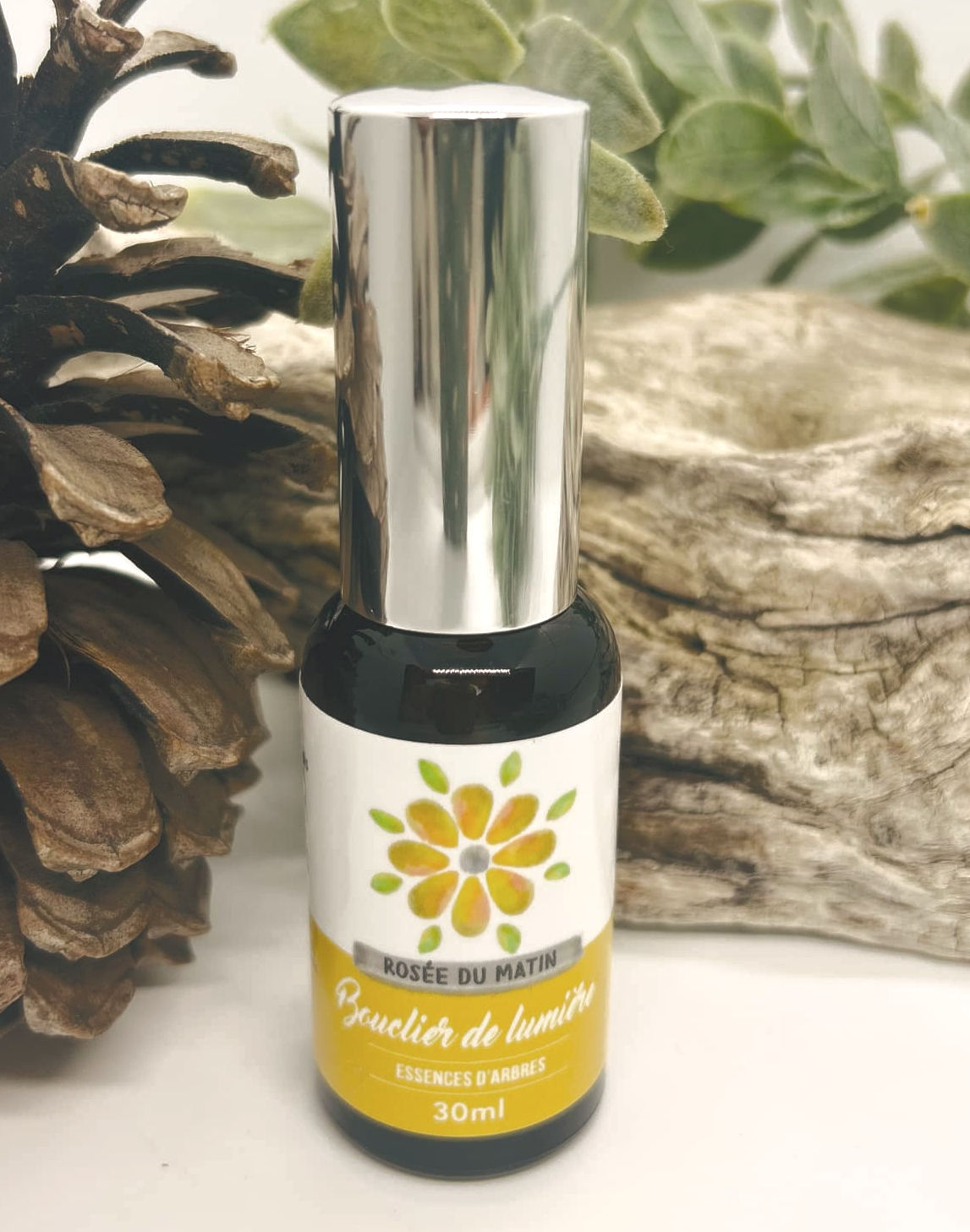 BOUCLIER DE LUMIÈRE