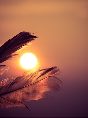 LUNE DU MOIS: FÉVRIER