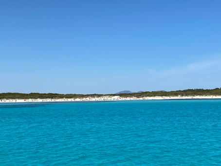 Buchtenbummeln auf Mallorca