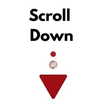 ezgif.com-video-to-gif-converter (1).gif