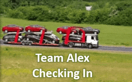 Team Alex (8).gif