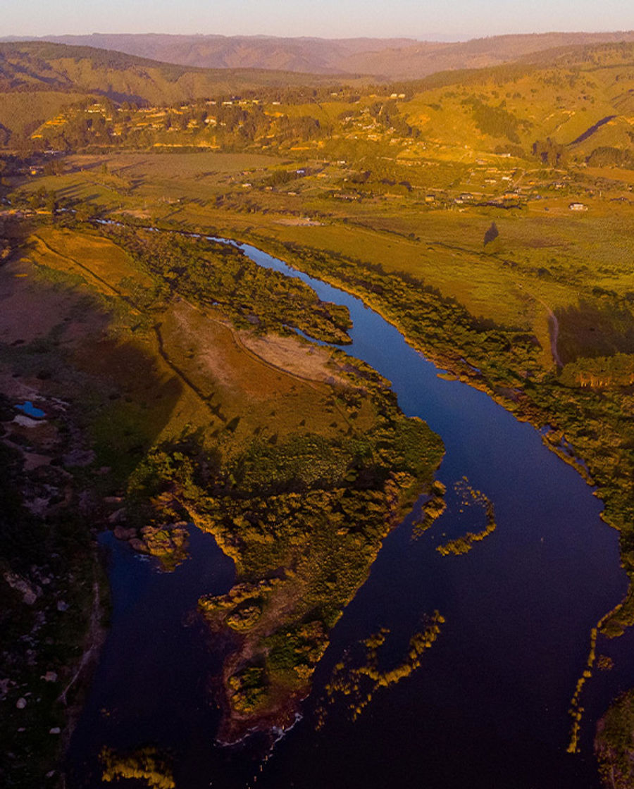 Biodiversidad del Humedal de Tunquén, Quinta Región
