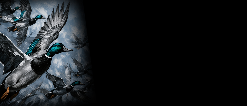 Untitled design (5).png