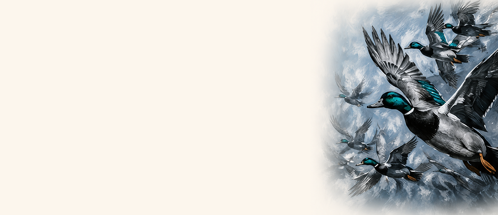 OSCAR BIRDS AI GRADIENT EDIT.png