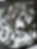 thumbnail_image0.jpg