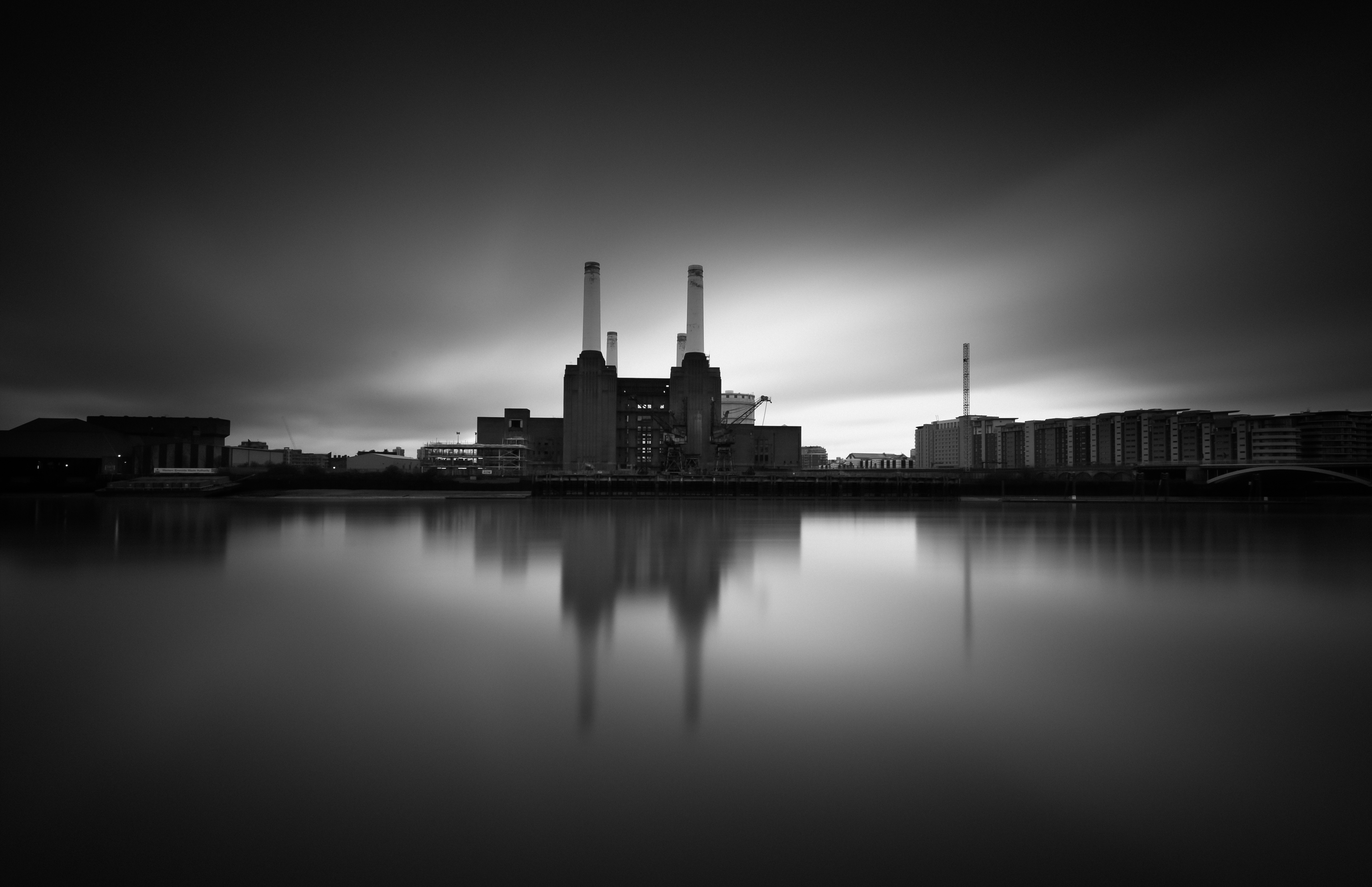 _Animals_ Vulture Labs
