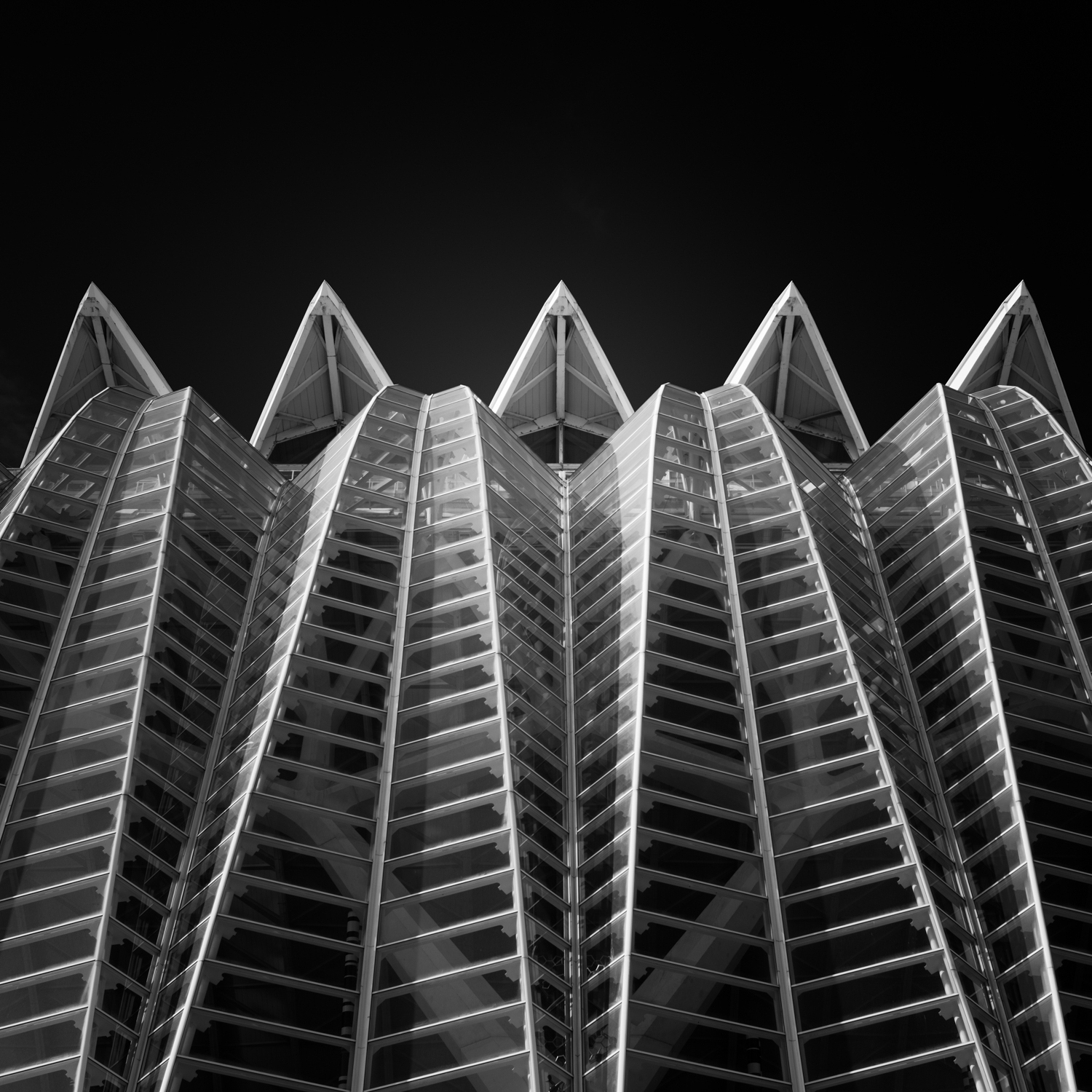 Zig Zag