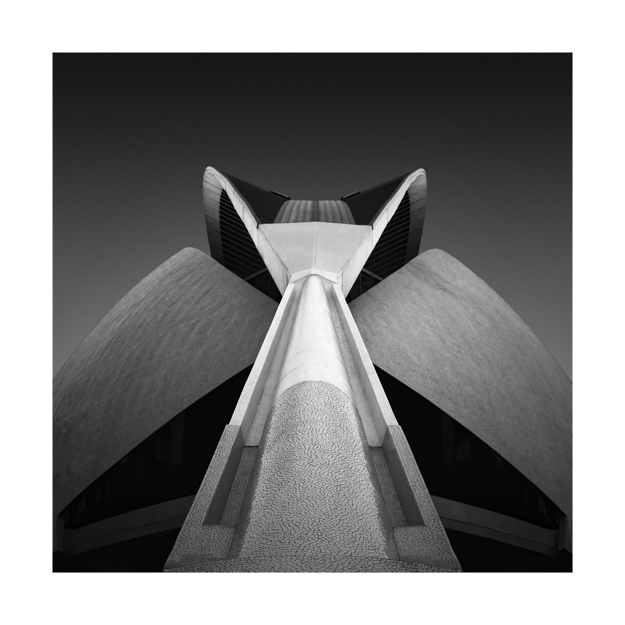 Mantis