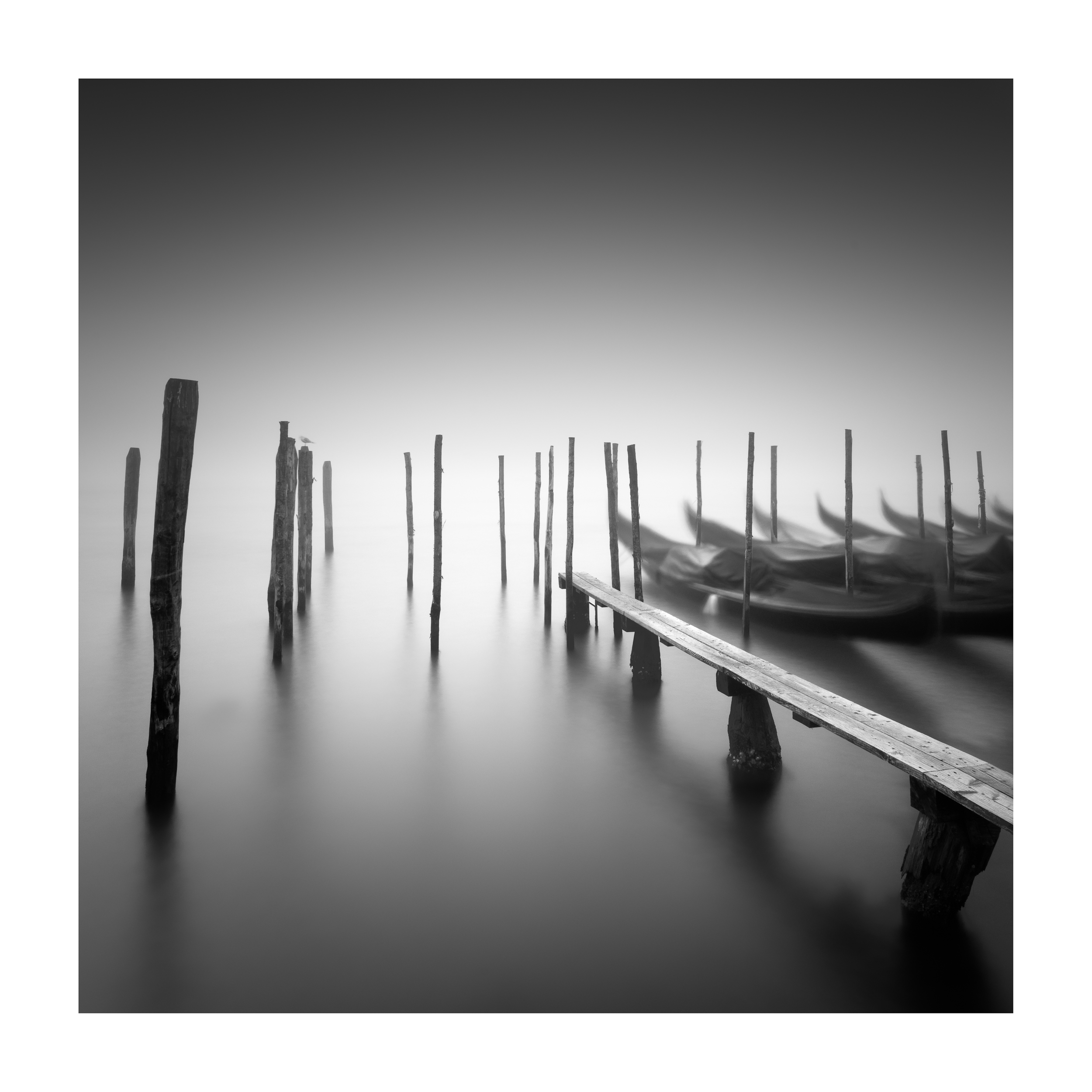 Venice Fog