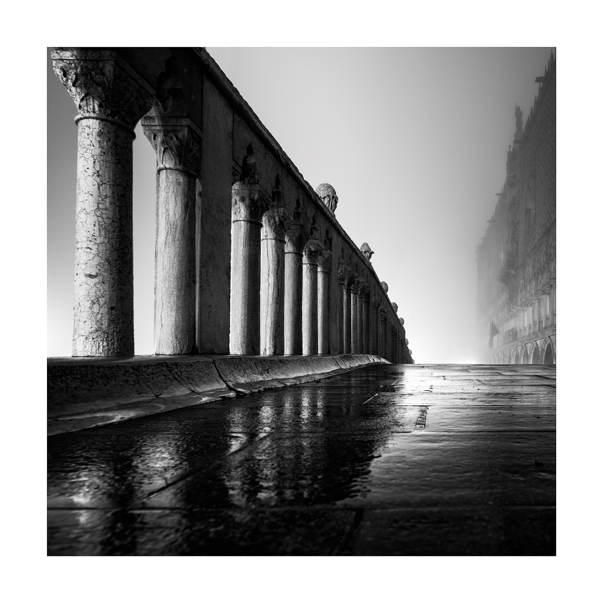 After the flood