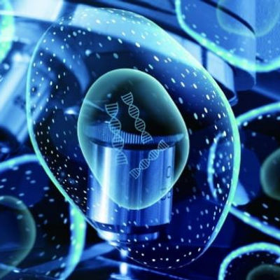 이상래, 중독, 아주대학교, 뇌질환