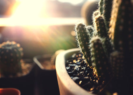 Please Don’t Say….