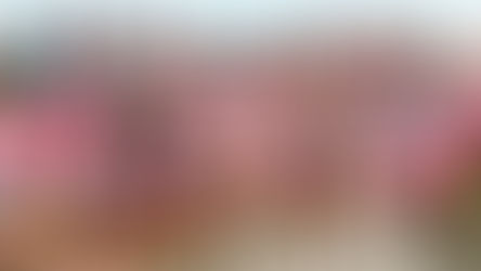 BREAKING: FIRST FOUR… NOW SIX. SA RUGBY TAKES OVER THE URC