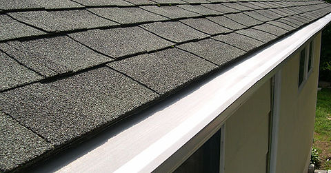 summer-gutter-cleaning-2nd-image-2017.jp