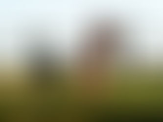 Le 7 cose che devi sapere per il servizio fotografico con il tuo cane