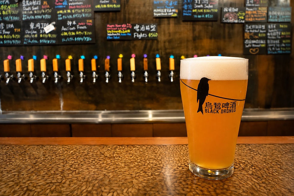 Black Drongo Brewing Co. 烏鶖啤酒宜蘭精釀啤酒館