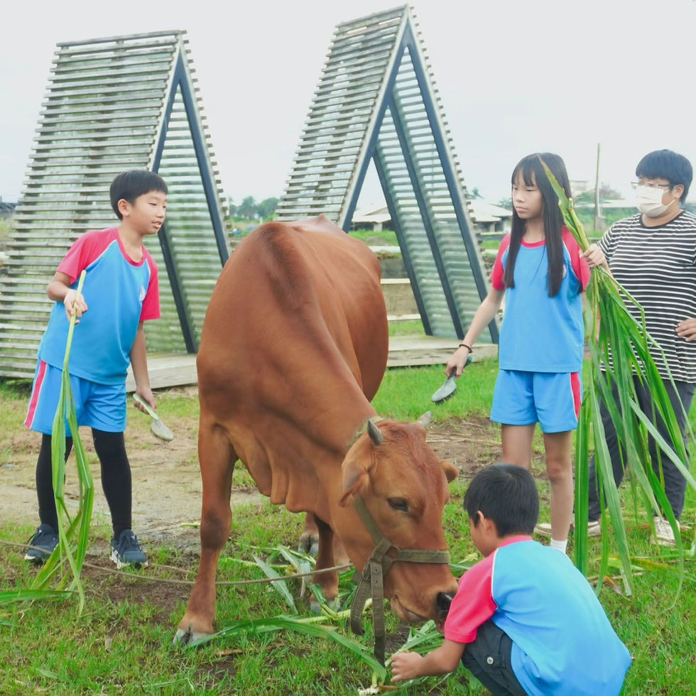 牛頭司 - 耕牛小學堂