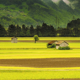 입지선정(배산임수&서류)