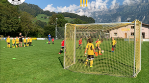 Gesucht - Diverse Juniorentrainer