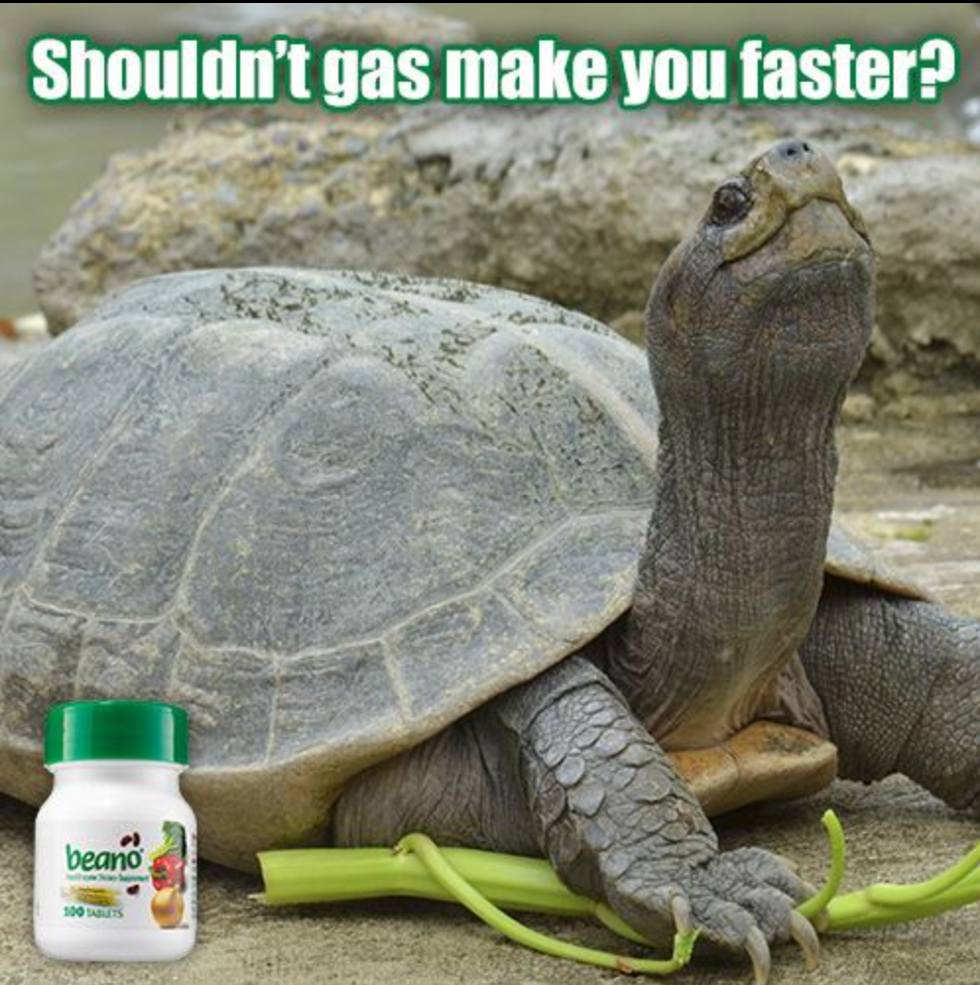 Screenshot 2023-11-04 at 9.35.22 AM