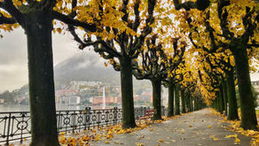 Fall in [Love With] Lugano, Switzerland
