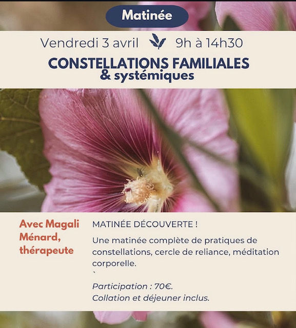 Matinée constellations familiales & systémiques